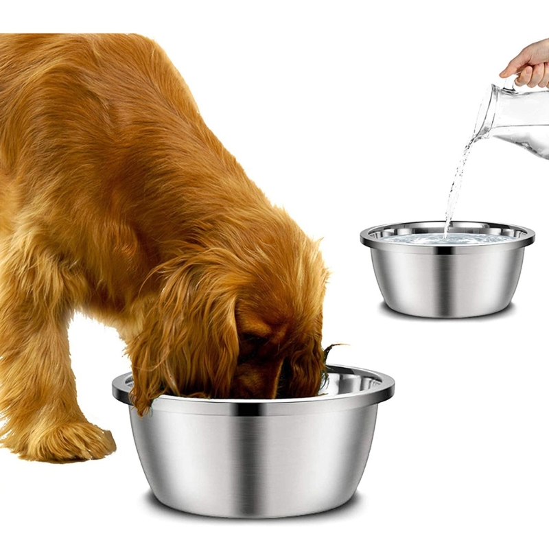 Royal Canin Food Medium - Miski dla psów ze stali nierdzewnej
